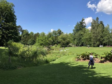 Zürih Üniversitesi Botanik Bahçesi veya Botanik Bahçesi Garten der Universitaet Zuerich, İsviçre