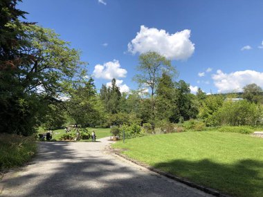 Zürih Üniversitesi Botanik Bahçesi veya Botanik Bahçesi Garten der Universitaet Zuerich, İsviçre