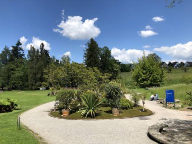 Zürih Üniversitesi Botanik Bahçesi veya Botanik Bahçesi Garten der Universitaet Zuerich, İsviçre