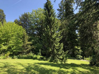 Zürih Üniversitesi Botanik Bahçesi veya Botanik Bahçesi Garten der Universitaet Zuerich, İsviçre