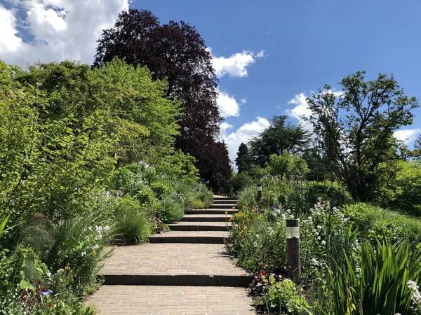 Zürih Üniversitesi Botanik Bahçesi veya Botanik Bahçesi Garten der Universitaet Zuerich, İsviçre