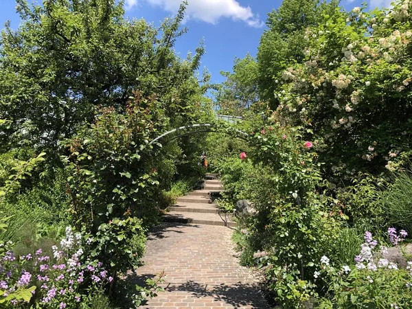 Zürih Üniversitesi Botanik Bahçesi veya Botanik Bahçesi Garten der Universitaet Zuerich, İsviçre