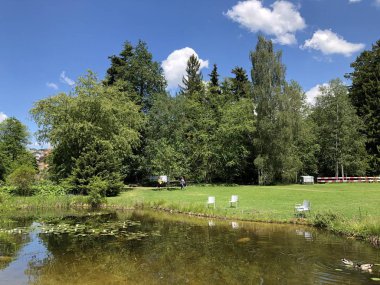 Pond or Teich - Zürih Üniversitesi Botanik Bahçesi veya Botanik Bahçesi veya Botanischer Garten der Universitaet Zuerich, İsviçre