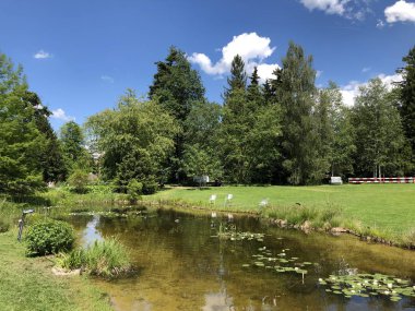 Pond or Teich - Zürih Üniversitesi Botanik Bahçesi veya Botanik Bahçesi veya Botanischer Garten der Universitaet Zuerich, İsviçre