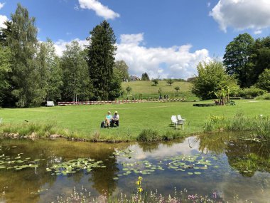 Pond or Teich - Zürih Üniversitesi Botanik Bahçesi veya Botanik Bahçesi veya Botanischer Garten der Universitaet Zuerich, İsviçre