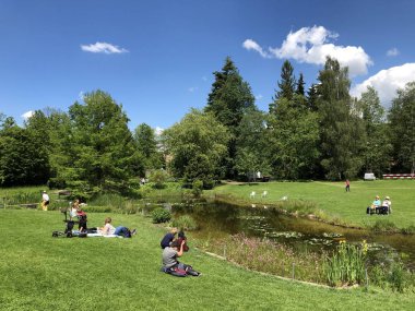 Pond or Teich - Zürih Üniversitesi Botanik Bahçesi veya Botanik Bahçesi veya Botanischer Garten der Universitaet Zuerich, İsviçre