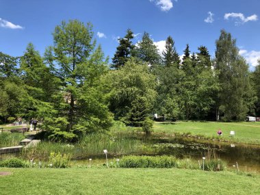 Pond or Teich - Zürih Üniversitesi Botanik Bahçesi veya Botanik Bahçesi veya Botanischer Garten der Universitaet Zuerich, İsviçre