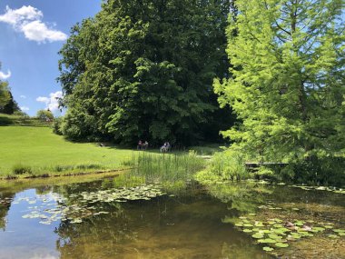 Pond or Teich - Zürih Üniversitesi Botanik Bahçesi veya Botanik Bahçesi veya Botanischer Garten der Universitaet Zuerich, İsviçre