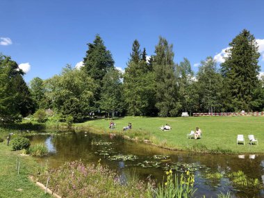 Pond or Teich - Zürih Üniversitesi Botanik Bahçesi veya Botanik Bahçesi veya Botanischer Garten der Universitaet Zuerich, İsviçre