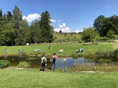 Pond or Teich - Zürih Üniversitesi Botanik Bahçesi veya Botanik Bahçesi veya Botanischer Garten der Universitaet Zuerich, İsviçre