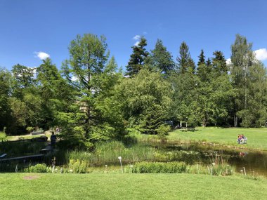 Pond or Teich - Zürih Üniversitesi Botanik Bahçesi veya Botanik Bahçesi veya Botanischer Garten der Universitaet Zuerich, İsviçre