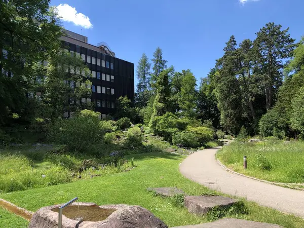 研究所的建设 苏黎世大学植物园或瑞士苏黎世大学植物园 — 图库照片
