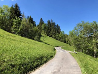 Yol ve Wagital vadisinde yürüyüş ve Wagitalersee veya Waegitalersee alp gölü, Innerthal - Schwyz Kantonu, İsviçre