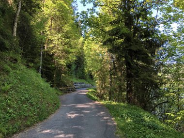 Yol ve Wagital vadisinde yürüyüş ve Wagitalersee veya Waegitalersee alp gölü, Innerthal - Schwyz Kantonu, İsviçre