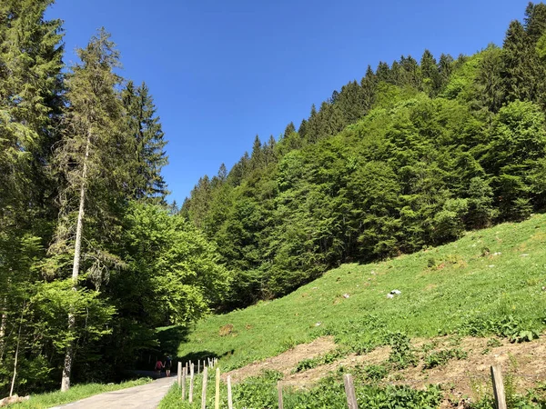 Strada Passeggiata Attraverso Valle Del Wagital Dal Wagitalersee Waegitalersee Lago — Foto Stock