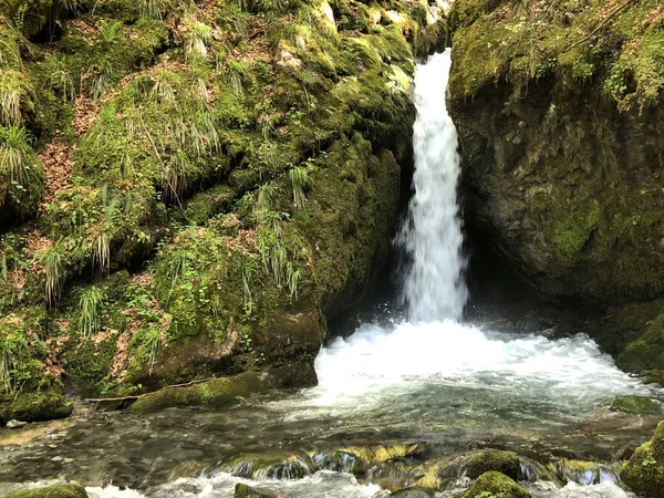 Alp Gölü Wagitalersee (Waegitalersee) yakınlarındaki Aberenbach dere veya Aberenbachfall şelale şelale, Innerthal - Schwyz Kantonu, İsviçre