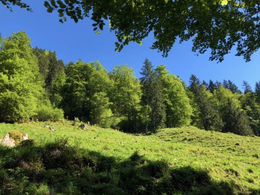 Wagital veya Waegital vadisinde ve Alp gölü Wagitalersee (Waegitalersee), Innerthal - Schwyz Kantonu, İsviçre