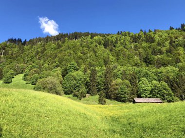 Wagital veya Waegital vadisinde ve Alp gölü Wagitalersee (Waegitalersee), Innerthal - Schwyz Kantonu, İsviçre
