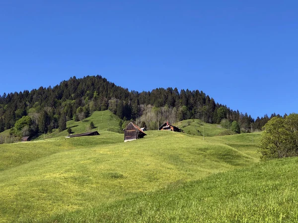 ワギタルまたはワギタルの谷と高山のワギタレルゼー ワギタレルゼー インナータール シュヴィーツ州 スイスの広州の牧草地と混合森林 — ストック写真