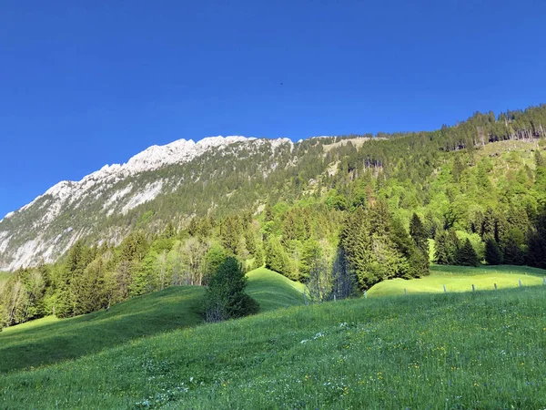 Wagital veya Waegital vadisinde ve Alp gölü Wagitalersee (Waegitalersee), Innerthal - Schwyz Kantonu, İsviçre