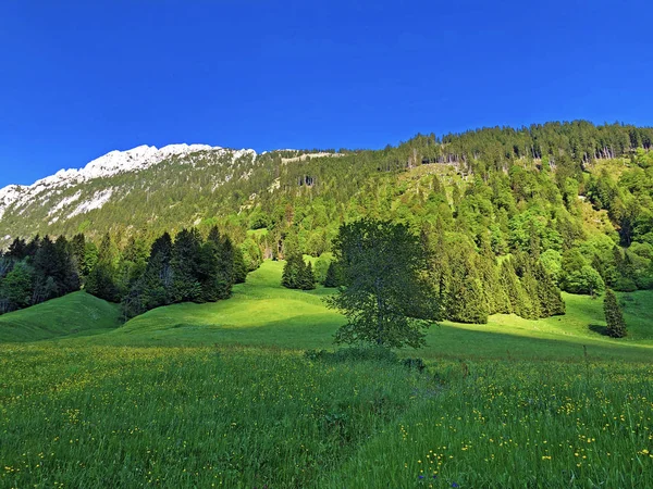 Pastwiska Lasy Mieszane Dolinie Wagital Lub Waegital Alpejskie Jezioro Wagitalersee — Zdjęcie stockowe