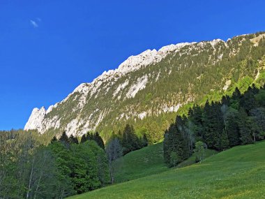 Schiberg ve Zindlenspitz Dağları vadi Wagital veya Waegital ve alp Gölü Wagitalersee (Waegitalersee), Innerthal - Karakt Schwyz, İsviçre