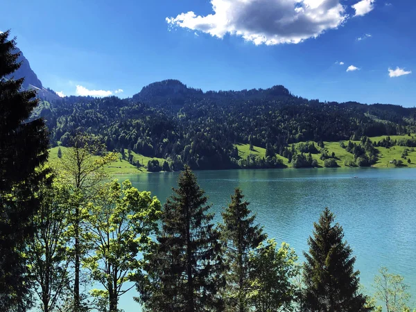 Alpint Landskap Wagitalersee Eller Waegitalersee Alpint Lake Dalen Wagital Waegital — Stockfoto