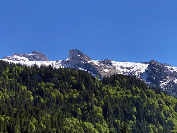 ワギタルまたはワギタルと人工山湖ワギタレルゼー Waegitalersee インナータール シュヴィーツ州 スイスの谷の上に混合森林と雪の高山のピーク — ストック写真