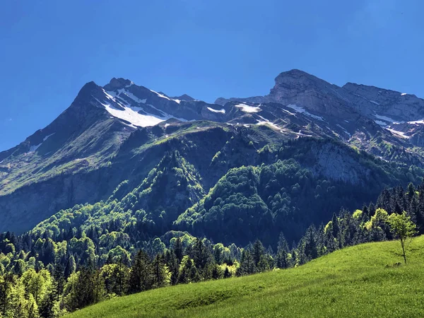 Turnerovi Diethelmové Hory Nad Údolím Wagital Nebo Waegital Alpské Jezero — Stock fotografie