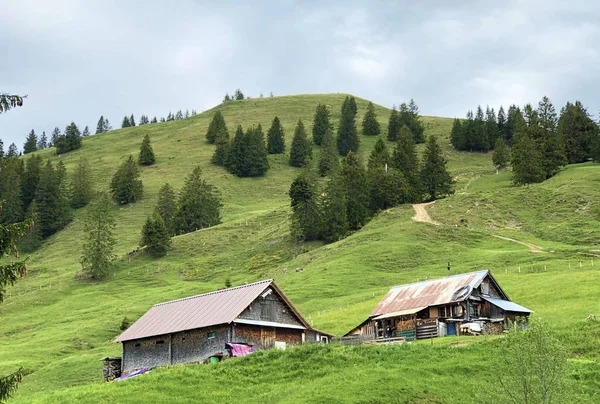 ワギタルまたはワギタルの谷と高山のワギタレルゼー ワギタレルゼー インナータール シュヴィーツ州 スイスの広州にある伝統的な建築と農家 — ストック写真