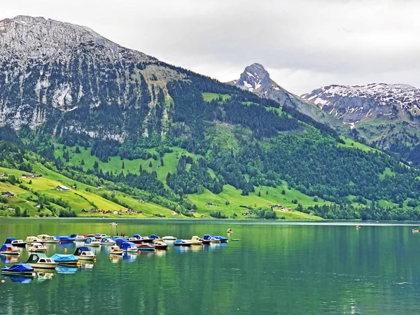 アーティフィカルな高山湖ワギタレルゼーまたはウェイギタレルシー インナータール上のボート シュヴィーツ州 スイス — ストック写真