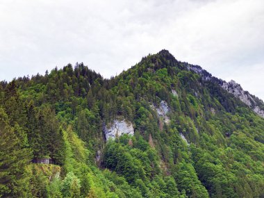 Wagital veya Waegital vadisinde ve alpwagitalersee (Waegitalersee), Innerthal - Schwyz Kantonu, İsviçre tarafından karışık ormanlar