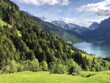 Wagital veya Waegital vadisinde ve alpwagitalersee (Waegitalersee), Innerthal - Schwyz Kantonu, İsviçre tarafından karışık ormanlar