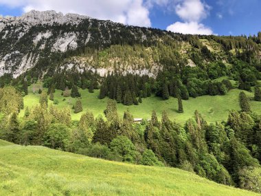 Wagital veya Waegital vadisinde ve alpwagitalersee (Waegitalersee), Innerthal - Schwyz Kantonu, İsviçre tarafından karışık ormanlar