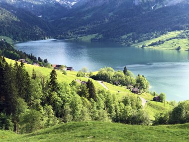 Wagital veya Waegital vadisinde ve alpwagitalersee (Waegitalersee), Innerthal - Schwyz Kantonu, İsviçre tarafından karışık ormanlar