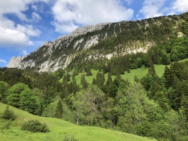 Wagital veya Waegital vadisinde ve alpwagitalersee (Waegitalersee), Innerthal - Schwyz Kantonu, İsviçre tarafından karışık ormanlar
