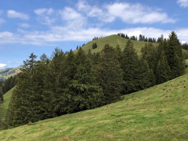 Wagital veya Waegital vadisinde ve Alp gölü Wagitalersee (Waegitalersee), Innerthal - Kaçton Schwyz, İsviçre
