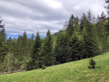 Wagital veya Waegital vadisinde ve Alp gölü Wagitalersee (Waegitalersee), Innerthal - Kaçton Schwyz, İsviçre