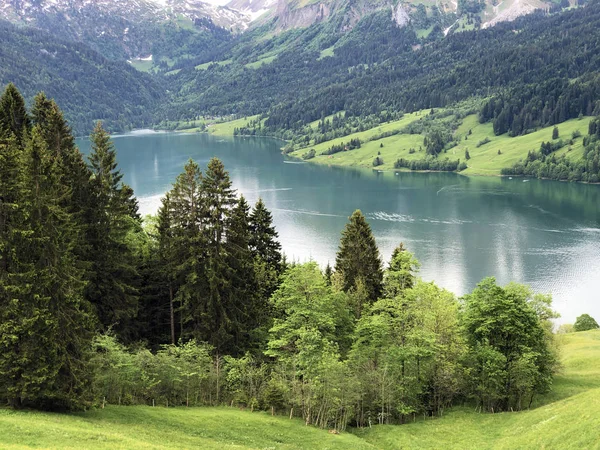 Forêts Mixtes Dans Vallée Wagital Waegital Près Lac Alpin Wagitalersee — Photo