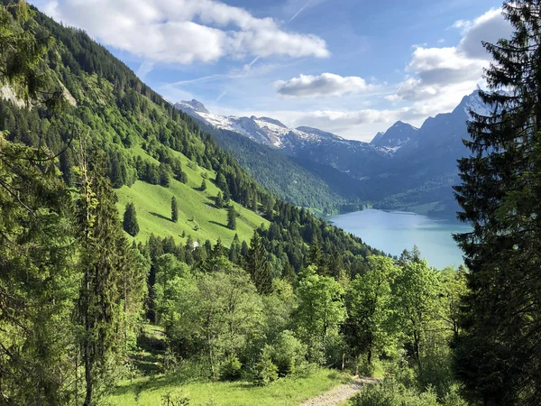 ワギタルまたはワギタルの谷と高山のワギタレルゼー ワギタレルゼー インナータール シュヴィーツ州 スイスの広州の混合森林 — ストック写真