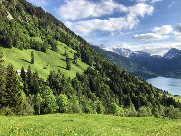 ワギタルまたはワギタルの谷と高山のワギタレルゼー ワギタレルゼー インナータール シュヴィーツ州 スイスの広州の混合森林 — ストック写真