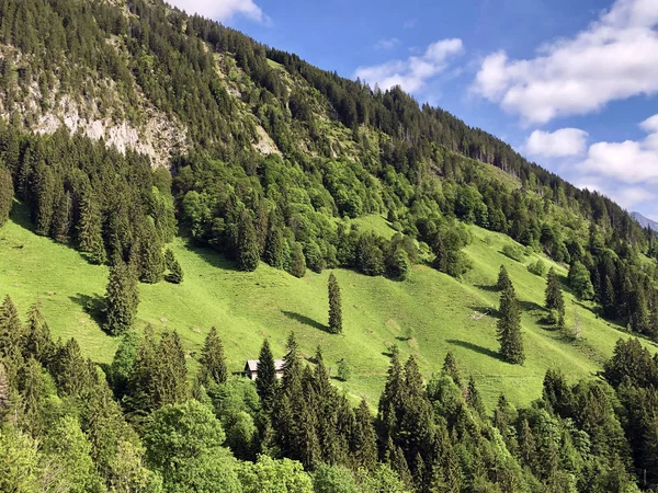 Bosques Mixtos Valle Wagital Waegital Junto Lago Alpino Wagitalersee Waegitalersee —  Fotos de Stock