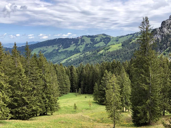 Immergrüne Oder Nadelwälder Tal Von Wagital Oder Waegital Und Wagitalersee — Stockfoto
