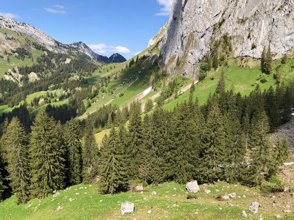 Groenblijvende Naaldbossen Vallei Van Wagital Waegital Door Alpen Meer Wagitalersee — Stockfoto