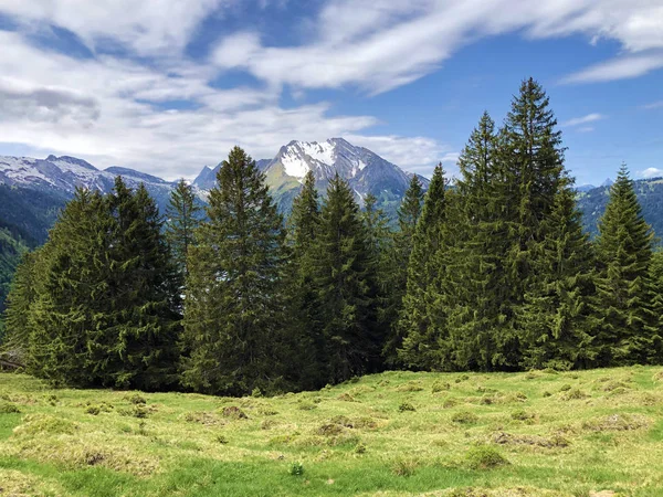 ワギタルまたはワギタルの谷と高山のワギタレルゼー ワギタレルゼー インナータール シュヴィーツ州 スイスの広州の谷の常緑または円錐の森 — ストック写真