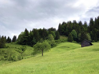 Wagital veya Waegital vadisinde ve Alp Gölü Wagitalersee (Waegitalersee), Innerthal - Schwyz Katarakt, İsviçre
