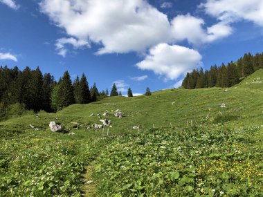 Wagital veya Waegital vadisinde ve Alp Gölü Wagitalersee (Waegitalersee), Innerthal - Schwyz Katarakt, İsviçre