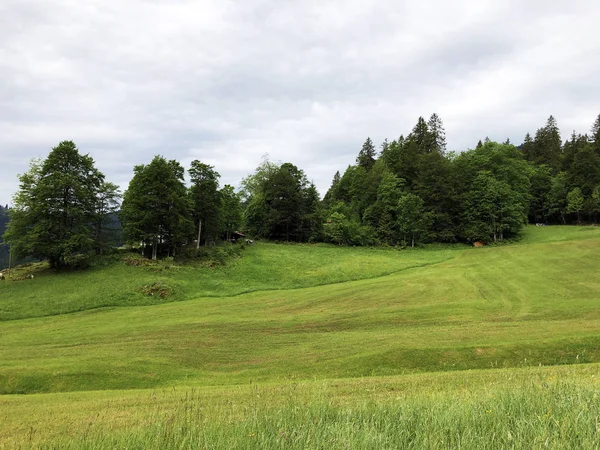 Alpages Prairies Alpines Dans Vallée Wagital Waegital Près Lac Alpin — Photo