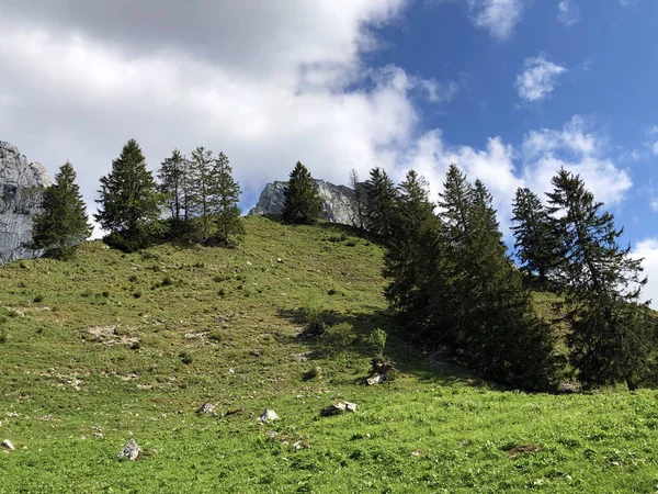 Almen Und Wiesen Tal Von Wagital Oder Waegital Und Wagitalersee — Stockfoto