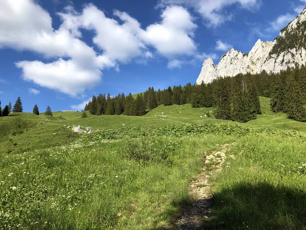 Pastagens Prados Alpinos Vale Wagital Waegital Junto Lago Alpino Wagitalersee — Fotografia de Stock